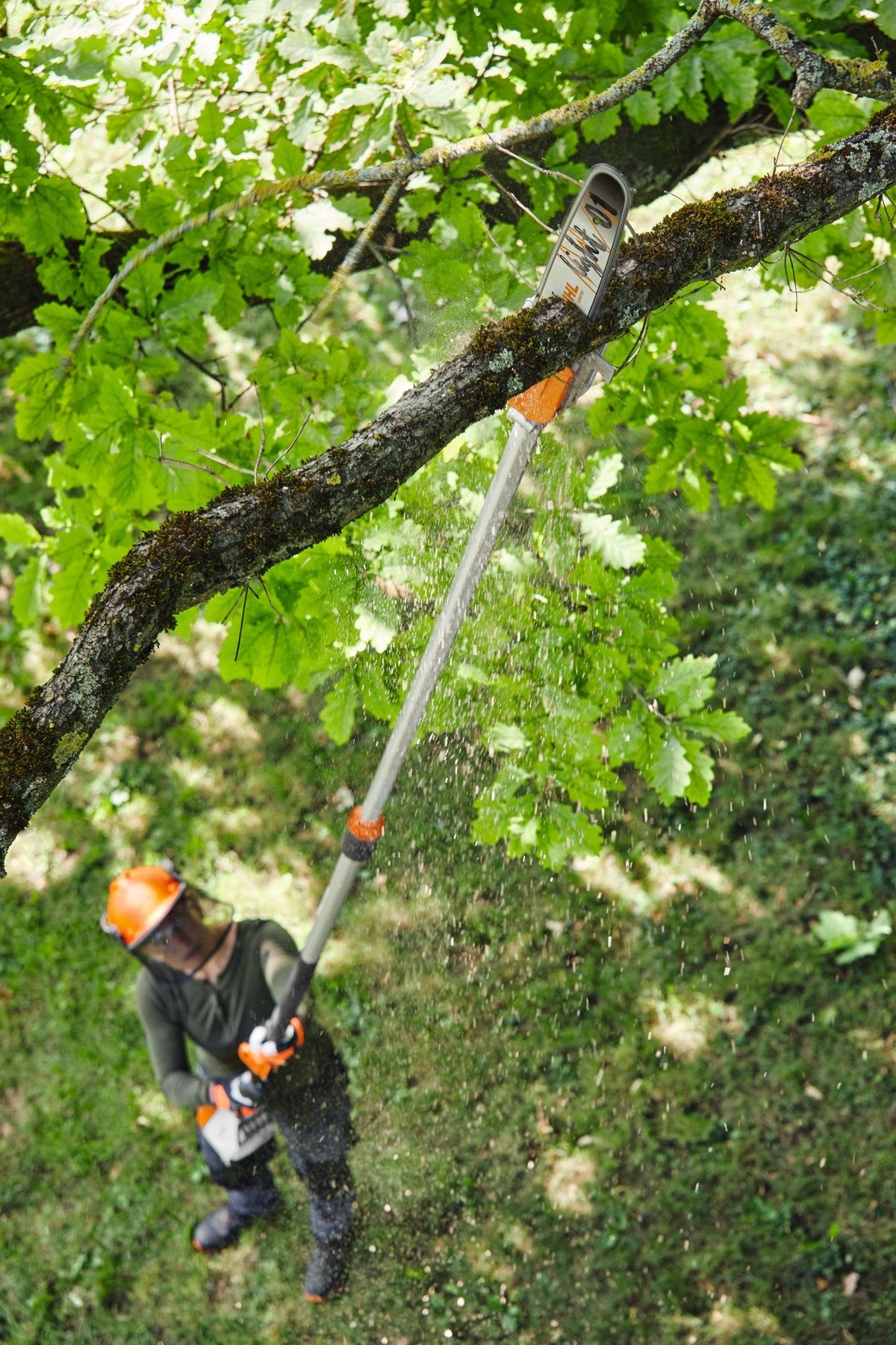 Élagage d'arbre avec perche élagueuse STIHL